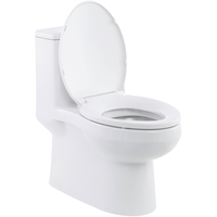 American Standard 美标 CCAS1858+7125 智能坐便器 400mm坑距