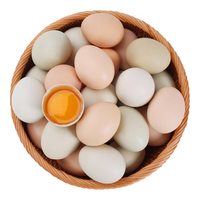 乡公馆鸡蛋新鲜土鸡蛋农家散养新鲜乌鸡蛋绿壳笨鸡蛋谷物草鸡蛋整箱 50枚土鸡蛋 + 50枚乌鸡蛋