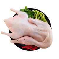 筱诺 新鲜嫩鸭子鸭肉3只装 1kg/只