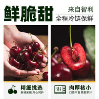 智利车厘子礼盒大樱桃jjj原箱礼盒新鲜水果