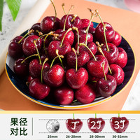 淘金币可用、88VIP：天猫超市 预售智利进口车厘子XL（24-26mm）5斤