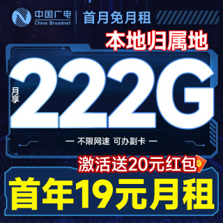 中国广电 本地归属地 首年19元月租（可办副卡+222G通用流量+首月免费用）广智卡+畅享5G不限网速