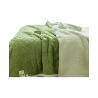 毛毯塔芙绒午睡毯羊羔绒盖毯 嫩芽绿 100*120cm