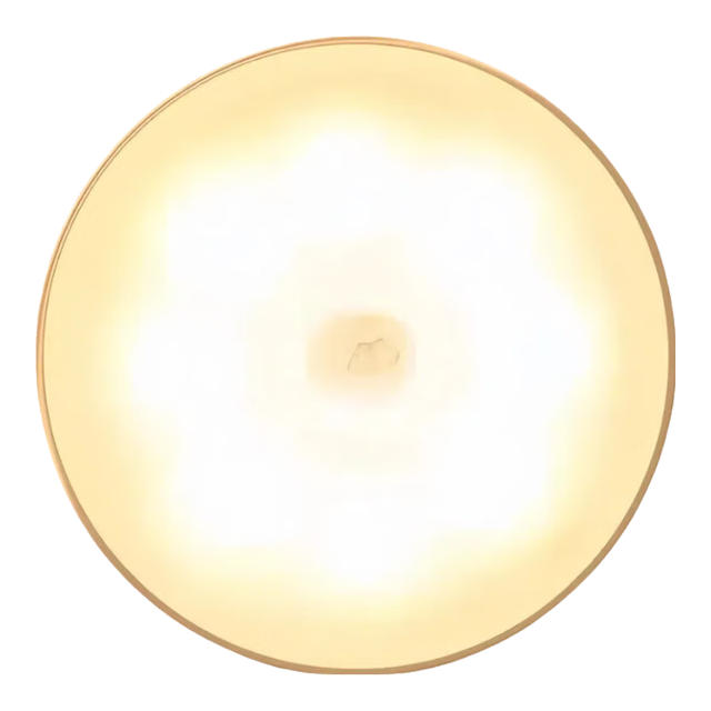 艾勒丝汀 自动感应 智能感应灯