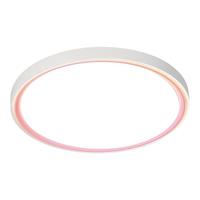 雷士 NVC   Lighting LED卧室吸顶灯房护眼儿童房卧室吸顶灯卡通创意灯饰灯具 RA98全光谱 晨曦-粉 32W分段调光