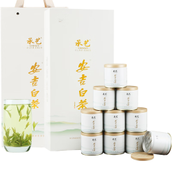 宋一 茶叶礼盒绿茶安吉白茶特级2024新茶明前茶250g
