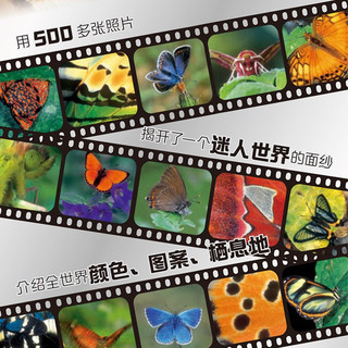 DK科普百科 蝴蝶 精装全彩高清版