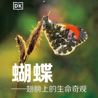 DK科普百科 蝴蝶 精装全彩高清版