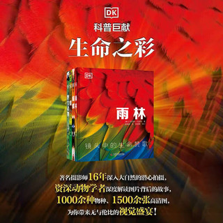 DK科普百科4册 雨林+蝴蝶+蛙+野生动物 精装全彩高清版