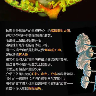 DK科普百科4册 雨林+蝴蝶+蛙+野生动物 精装全彩高清版