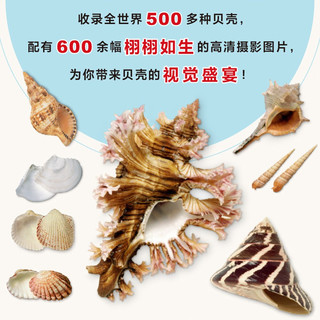DK贝壳 DK博物系列 收录全球500余种贝壳知识 配有600余幅高清实拍图 贝类学家S.彼得·丹斯力作