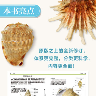 DK贝壳 DK博物系列 收录全球500余种贝壳知识 配有600余幅高清实拍图 贝类学家S.彼得·丹斯力作