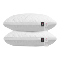 洁丽雅 GRACE 羽丝绒水洗枕 一对装