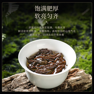亦岩武夷肉桂茶正岩肉桂花香果香桂皮香肉桂浓香型武夷岩茶 净含量(1盒）