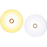 led人体感应灯橱柜衣柜灯走廊玄关灯床脚感应灯床边起夜灯充电小夜灯床头卧室 感应灯;双色款