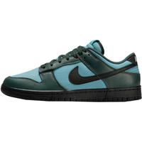 NIKE耐克男子NIKE DUNK LOW RETRO SE运动板鞋/复刻鞋FZ3052-300