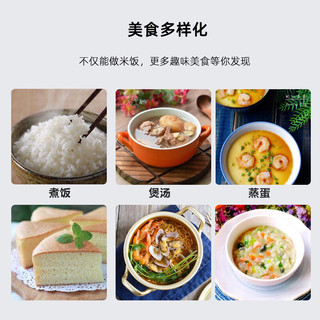  TIGER/虎牌 多功能 迷你电饭煲  白色 1.5L