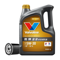 胜牌 金皇CBA款 单次小保养 4L 全合成润滑油 包安装送机滤 有效期60天