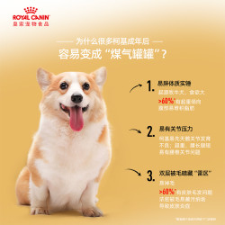 皇家 全价狗粮 CGA25 柯基成犬 150g