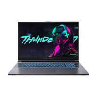 ThundeRobot 雷神 911 Plus 二代 17.3英寸 游戏本 灰色(酷睿i7-10750H、RTX 2060 6G、16GB、512GB SSD+1TB HDD、1080P、IPS、144Hz)