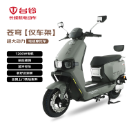 台铃 尖货甩卖 TL1200DT-56T 电动摩托车 1200W