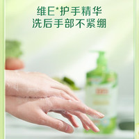 立白 洗洁精食品用天然亲肤除菌餐具净除菌去油清新去异味洗涤灵剂家用 青柠除菌精800g*1瓶