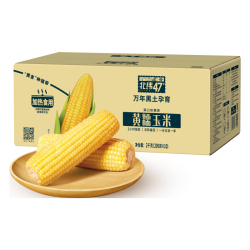 北纬47° 北纬47度黄糯玉米4.8斤(240g*10根)东北甜黏玉米棒真空包装 杂粮粗粮 早餐
