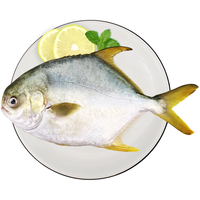 环球水产南海金鲳鱼 超大550g 1条装 BAP 生鲜鱼类 深海鱼 海鲜 南海金鲳鱼超大550g 1条装
