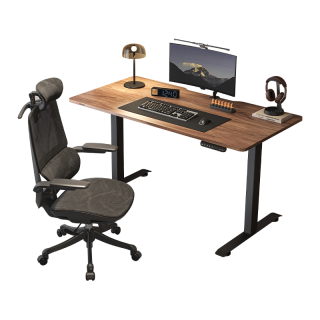 SIHOO 西昊 D03 电动升降桌电脑桌电竞桌升降书桌办公学习桌子1.2m胡桃木色