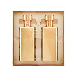 五粮液 财富人生酒金砖 52度 500mL×2瓶 浓香型白酒