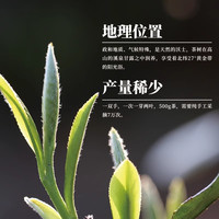 2023知归守望·白牡丹 500克装