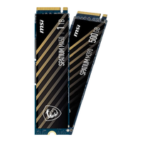 MSI 微星 黑竞系列 M450 NVMe M.2 固态硬盘 500GB (PCI-E4.0)