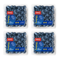 Mr.Seafood 京鲜生 国产蓝莓 4盒装 约125g/盒 14mm+ 新鲜水果 源头直发 包邮