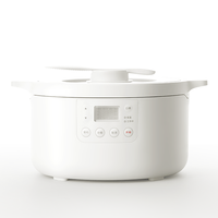 电饭煲家用多功能快速煮饭预约保温1一3人迷你小型电饭锅料理锅