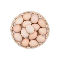 寻鲜鸟 鲜鸡蛋 15枚