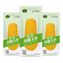 珍谷诱惑 东北黄糯玉米 10支 2.4kg