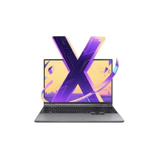 国家补贴、PLUS会员：机械革命 无界15X Pro 暴风雪(AI 9H 365 16G 1T  99Wh 120Hz 2.5K)办公笔记本电脑轻薄游戏本