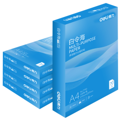 得力 白令海A4打印纸 70g500张 5包一箱 双面复印纸 入选纸类 7753