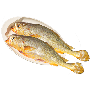黄小渔 宁德三去黄花鱼600g/4条大黄鱼生鲜海鲜水产深海鱼类清蒸烧烤