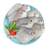 SOLID STANDARD 纯色本味 舟山口袋鲳 700g