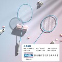 Wellhouse 羽毛球拍双拍耐用型莫兰迪超轻羽毛球球拍套装