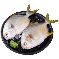 恒兴食品 生态原条金鲳鱼700g 2条装 BAP认证 深海鱼 生鲜海鲜 火锅烧烤