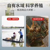 隆上記 隆上记大闸蟹公4.0-4.3两母3.0-3.3两4对8只 去绳足重鲜活螃蟹生鲜礼盒 公4.0