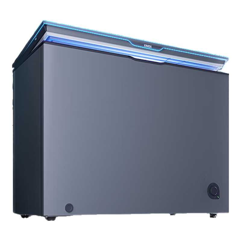  XINGX/星星 零下30℃ 冰柜  300L