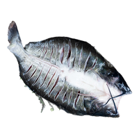 巢三珍 斑点叉尾鮰鱼400g 生鲜食材 鱼类原料