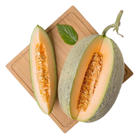 京觅 西州蜜 哈密瓜 单果果重1.25kg以上 1粒