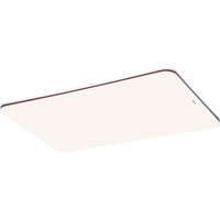 Panasonic LED吸顶灯 IP40护眼灯 掠影140瓦咖色HHXSX166