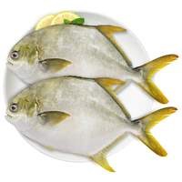 环球水产 冷冻金鲳鱼 1kg/2条装 生鲜 鱼类 深海鱼 海鲜水产