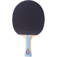 红双喜官方旗舰店乒乓球拍双拍六星专业级6星学生兵乓成品拍2只