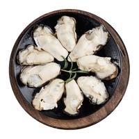 美加佳 韩国大号冷冻牡蛎肉净重500g/27-33只